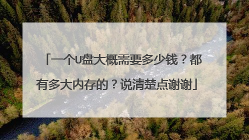 一个U盘大概需要多少钱?都有多大内存的?说清楚点谢谢
