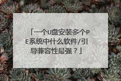一个U盘安装多个PE系统中什么软件/引导兼容性最强?