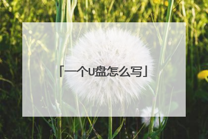 一个U盘怎么写