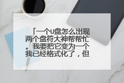 一个U盘怎么出现两个盘符大神帮帮忙。我要把它变为一个我已经格式化了,但还是不行。