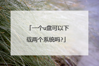 一个u盘可以下载两个系统吗?