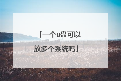 一个u盘可以放多个系统吗