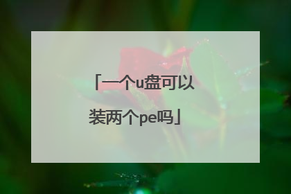 一个u盘可以装两个pe吗
