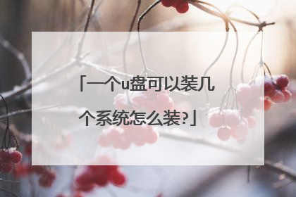 一个u盘可以装几个系统怎么装?