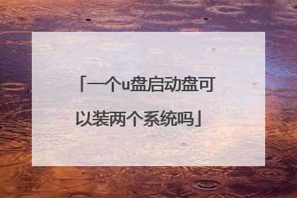 一个u盘启动盘可以装两个系统吗