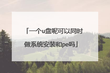 一个u盘呢可以同时做系统安装和pe吗