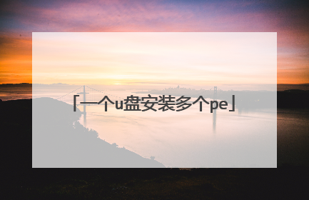 一个u盘安装多个pe
