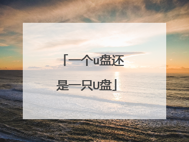 一个u盘还是一只U盘