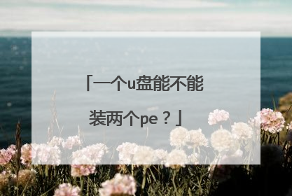 一个u盘能不能装两个pe?