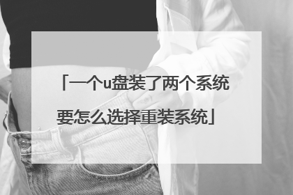 一个u盘装了两个系统要怎么选择重装系统