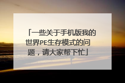 一些关于手机版我的世界PE生存模式的问题，请大家帮下忙
