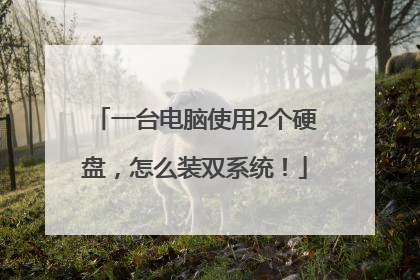 一台电脑使用2个硬盘,怎么装双系统!