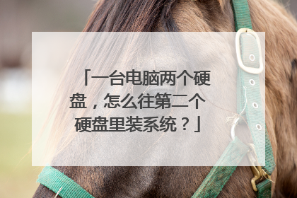 一台电脑两个硬盘,怎么往第二个硬盘里装系统?