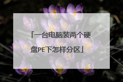 一台电脑装两个硬盘PE下怎样分区