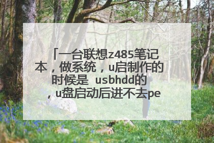 一台联想z485笔记本，做系统，u启制作的时候是 usbhdd的，u盘启动后进不去pe，一直是光标