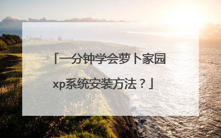 一分钟学会萝卜家园xp系统安装方法?