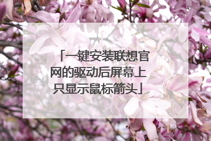 一键安装联想官网的驱动后屏幕上只显示鼠标箭头