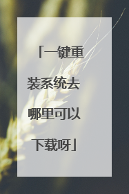 一键重装系统去哪里可以下载呀