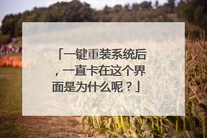一键重装系统后，一直卡在这个界面是为什么呢？