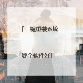 一键重装系统哪个软件好