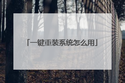 一键重装系统怎么用