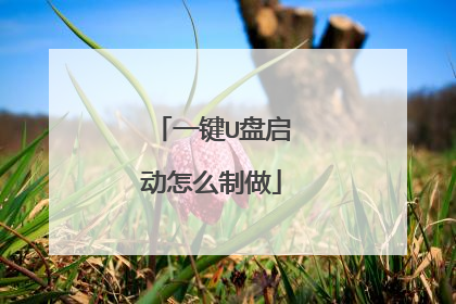 一键U盘启动怎么制做