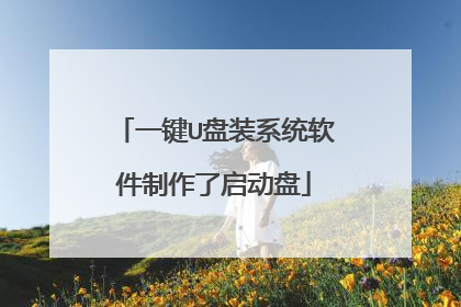 一键U盘装系统软件制作了启动盘