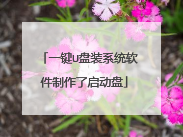 一键U盘装系统软件制作了启动盘