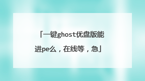 一键ghost优盘版能进pe么,在线等,急