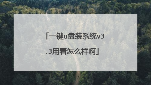一键u盘装系统v3.3用着怎么样啊