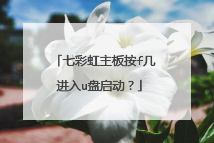 七彩虹主板按f几进入u盘启动?