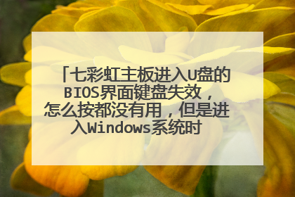 七彩虹主板进入U盘的BIOS界面键盘失效,怎么按都没有用,但是进入Windows系统时却可以用,怎么弄啊?