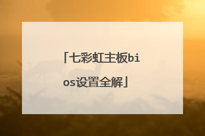 七彩虹主板bios设置全解