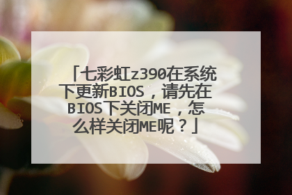 七彩虹z390在系统下更新BIOS,请先在BIOS下关闭ME,怎么样关闭ME呢?