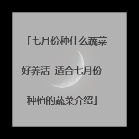 七月份种什么蔬菜好养活 适合七月份种植的蔬菜介绍