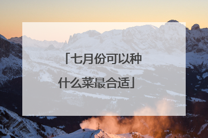 七月份可以种什么菜最合适