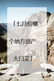 七月份哪个地方盛产大白菜