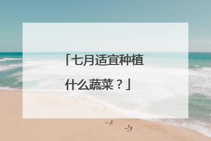 七月适宜种植什么蔬菜?