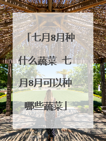 七月8月种什么蔬菜 七月8月可以种哪些蔬菜