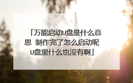 万能启动U盘是什么意思 制作完了怎么启动呢U盘里什么也没有啊