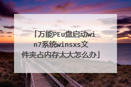 万能PEu盘启动win7系统winsxs文件夹占内存太大怎么办