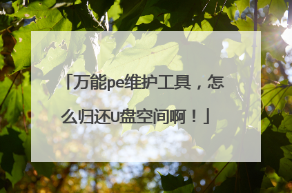 万能pe维护工具,怎么归还U盘空间啊!