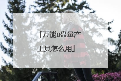 万能u盘量产工具怎么用
