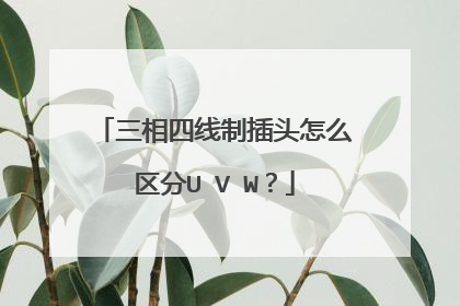 三相四线制插头怎么区分U V W?