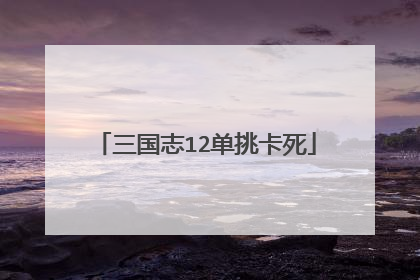 三国志12单挑卡死