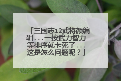 三国志12武将颜编辑...一按武力智力等排序就卡死了...这是怎么问题呢?