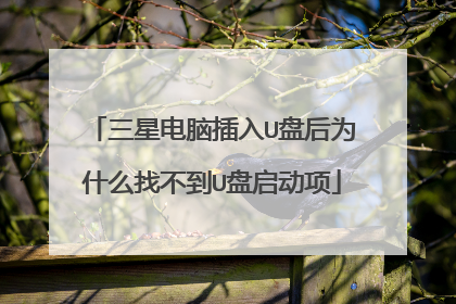 三星电脑插入U盘后为什么找不到U盘启动项