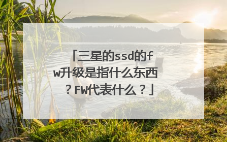 三星的ssd的fw升级是指什么东西?FW代表什么?