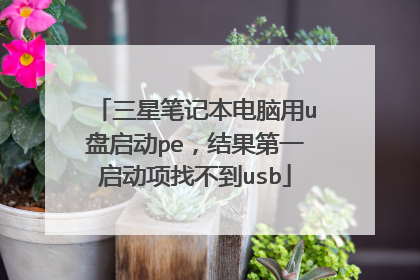 三星笔记本电脑用u盘启动pe,结果第一启动项找不到usb