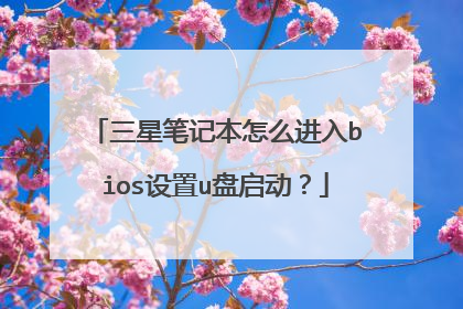 三星笔记本怎么进入bios设置u盘启动?